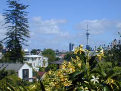 City view